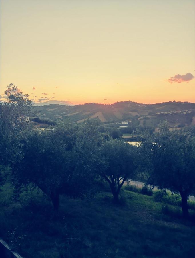Country-House Pecora Nera Guest House Mosciano Sant'Angelo Luaran gambar