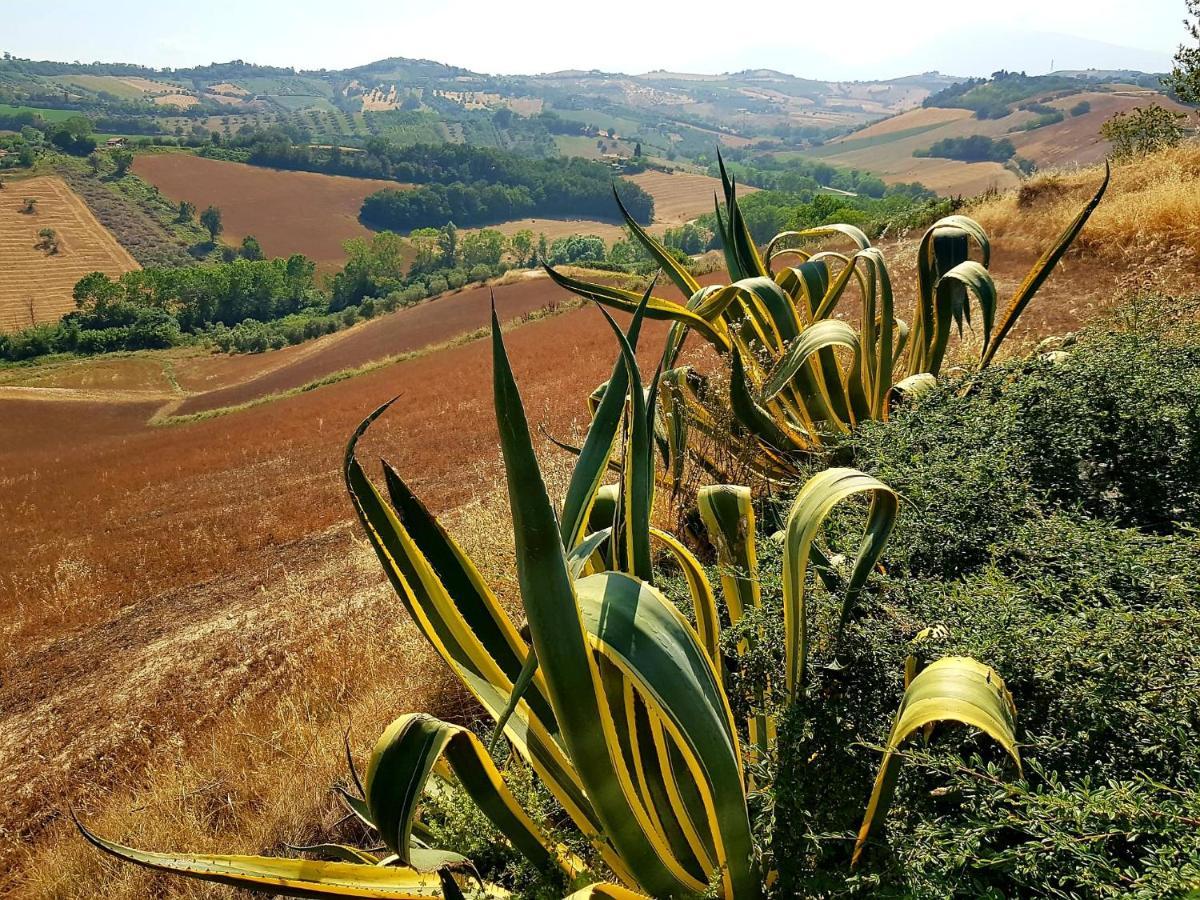 Country-House Pecora Nera Guest House Mosciano Sant'Angelo Luaran gambar