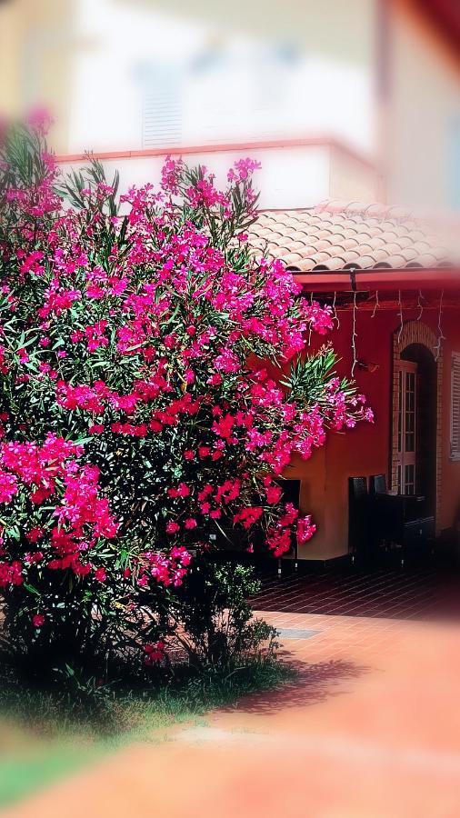 Country-House Pecora Nera Guest House Mosciano Sant'Angelo Luaran gambar