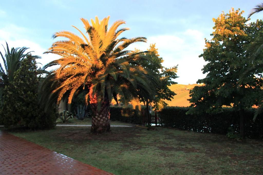Country-House Pecora Nera Guest House Mosciano Sant'Angelo Luaran gambar