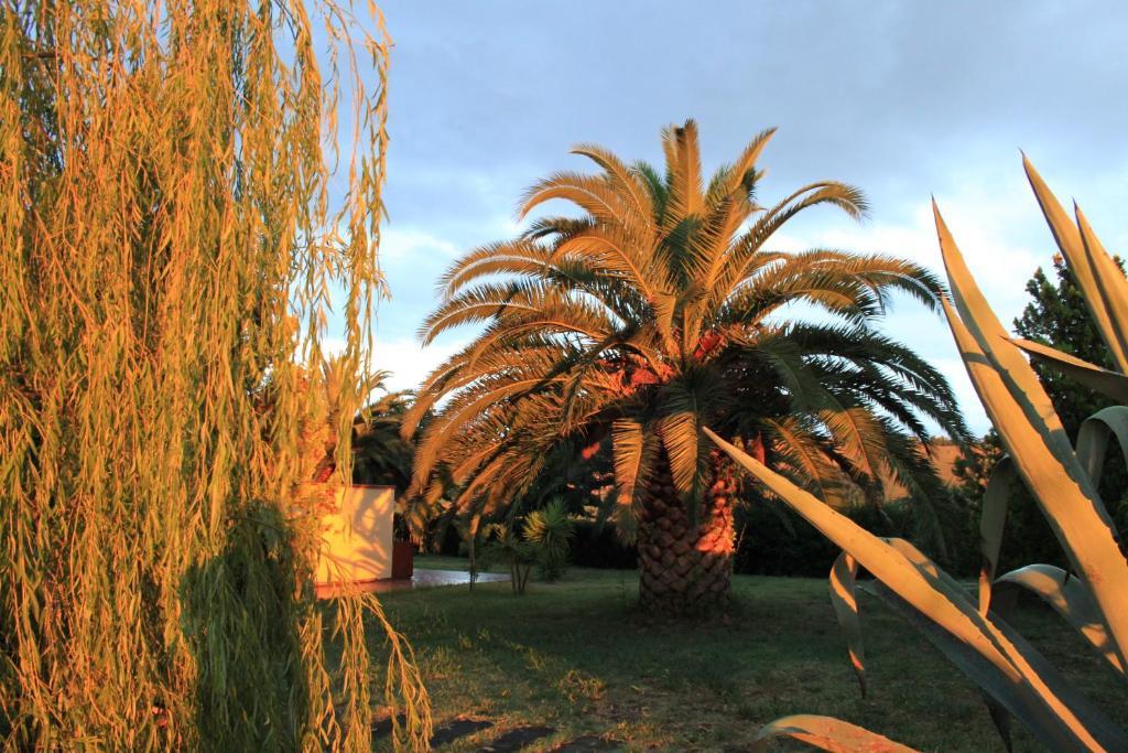 Country-House Pecora Nera Guest House Mosciano Sant'Angelo Luaran gambar