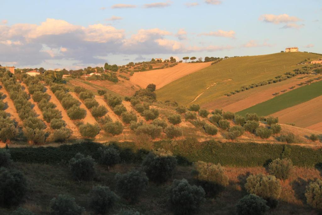 Country-House Pecora Nera Guest House Mosciano Sant'Angelo Luaran gambar