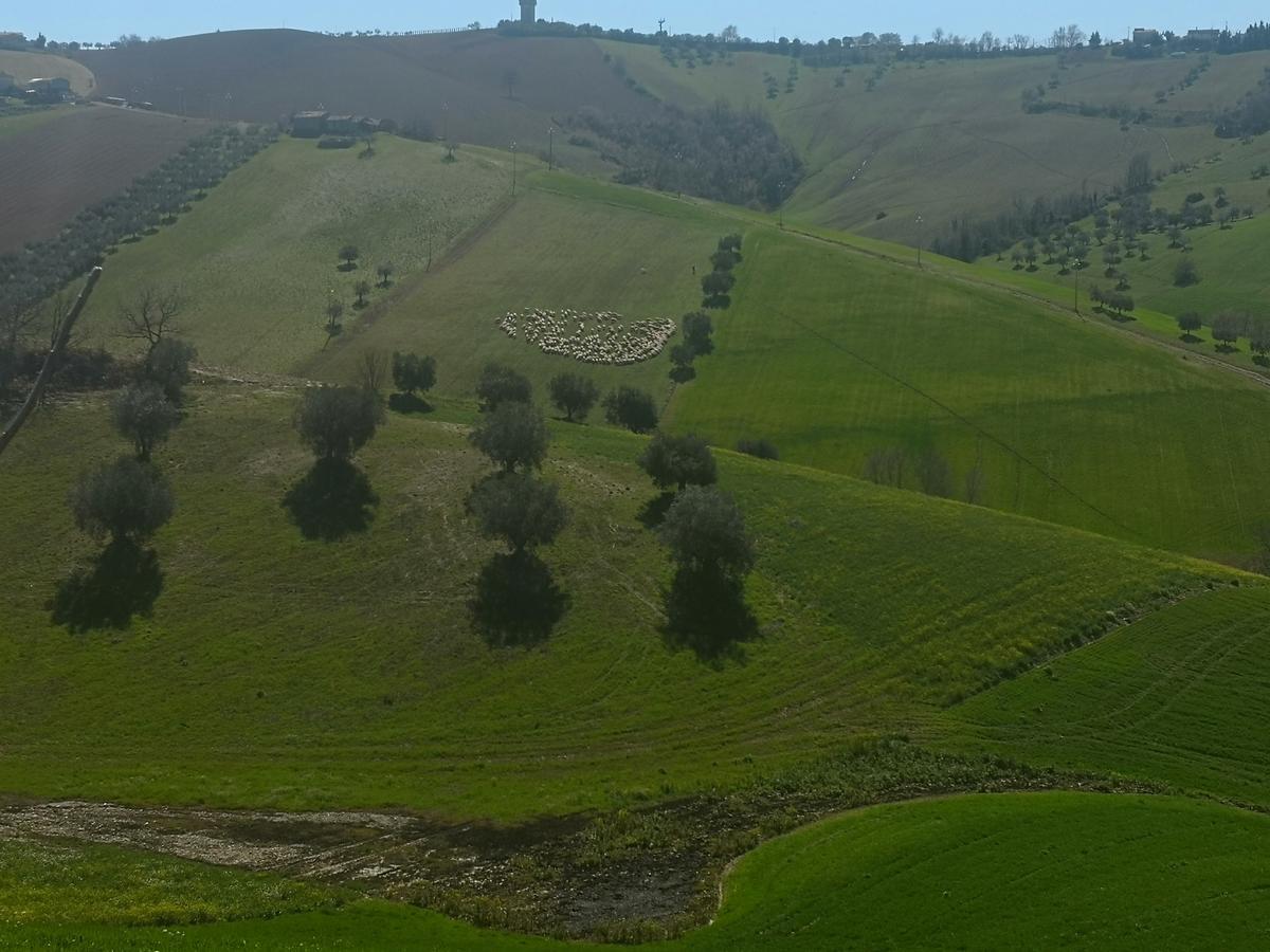 Country-House Pecora Nera Guest House Mosciano Sant'Angelo Luaran gambar