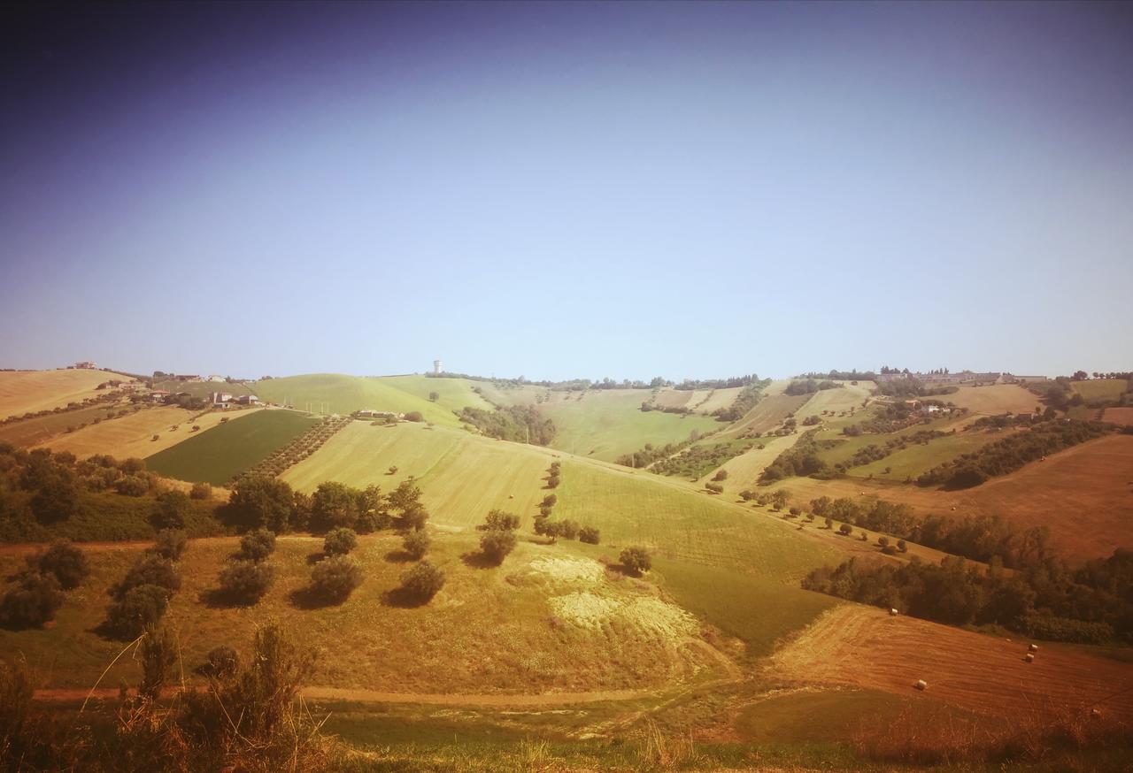 Country-House Pecora Nera Guest House Mosciano Sant'Angelo Luaran gambar